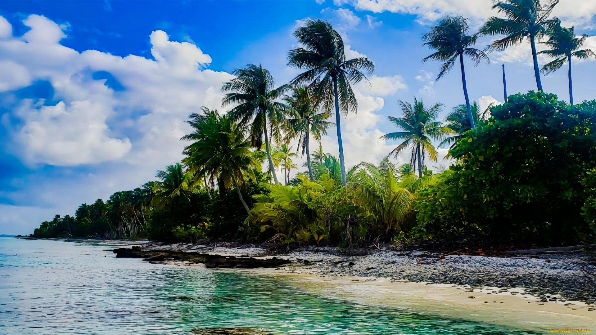 rangiroa atoll, french polynesia, , , rangiroa, atoll, french, polynesia